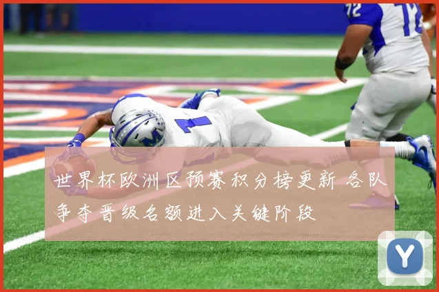 世界杯欧洲区预赛积分榜更新 各队争夺晋级名额进入关键阶段