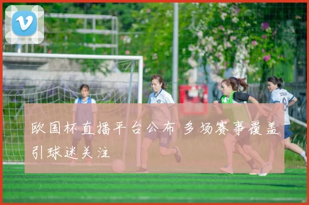 欧国杯直播平台公布 多场赛事覆盖引球迷关注