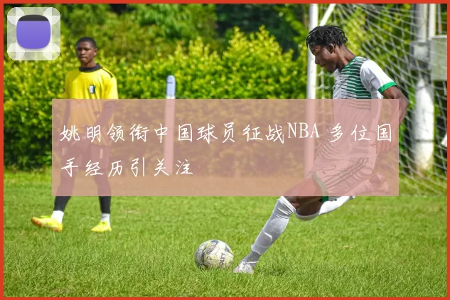 姚明领衔中国球员征战NBA 多位国手经历引关注