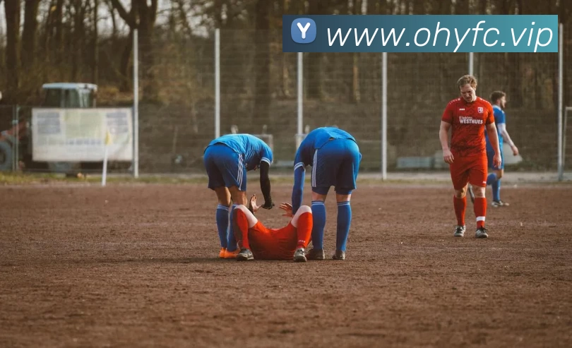 云开(Kaiyun科技发展有限公司)中国大陆·官方网站平台生态图