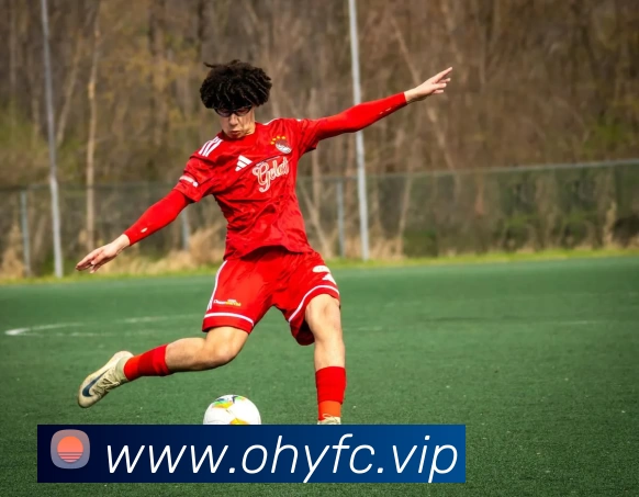 App Interface Preview