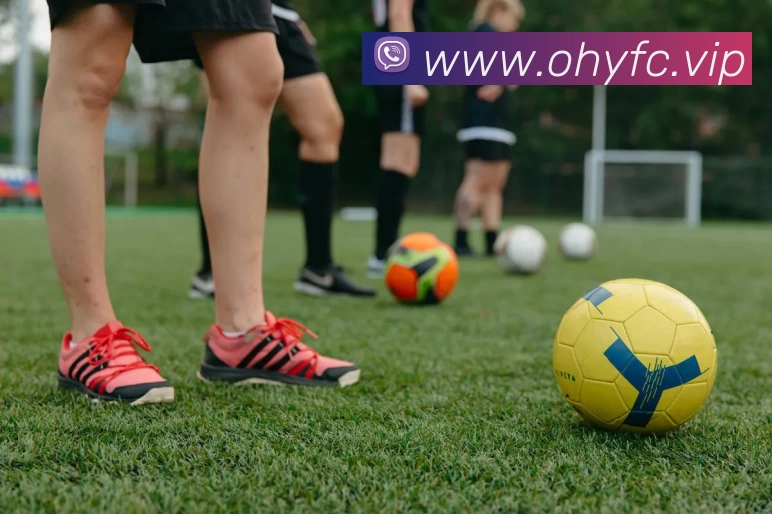 云开(Kaiyun科技发展有限公司)中国大陆·官方网站APP 封面图